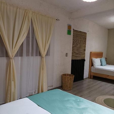 Alojamiento El Nixtamal Oaxaca Zewnętrze zdjęcie